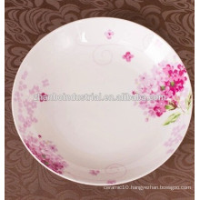 Fine new bone china porcelain plates and dishes for restaurant and & hotel with all size